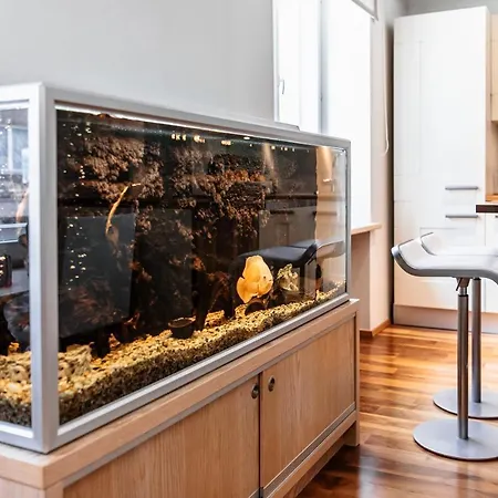 Airhome - Golden Fish Апартаменты Таллин